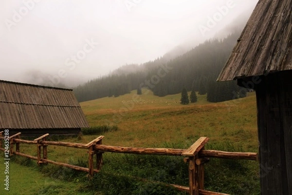 Obraz Polana Chochołowska