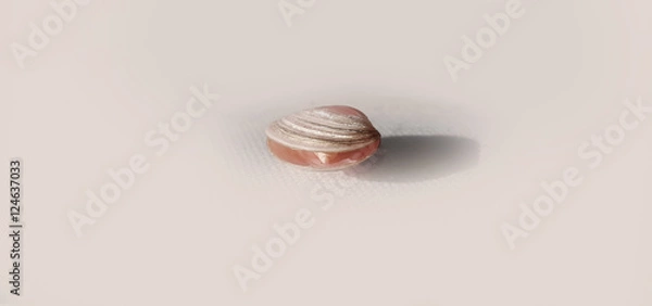 Fototapeta Seashell with small seashell inside