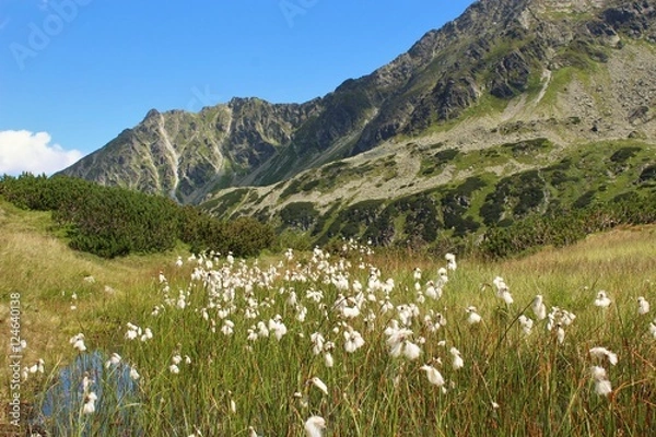 Obraz Tatry