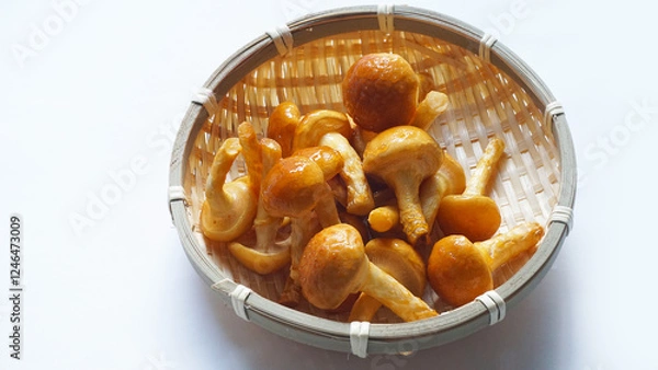 Fototapeta なめこ