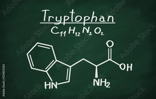 Fototapeta Structural model of Tryptophan