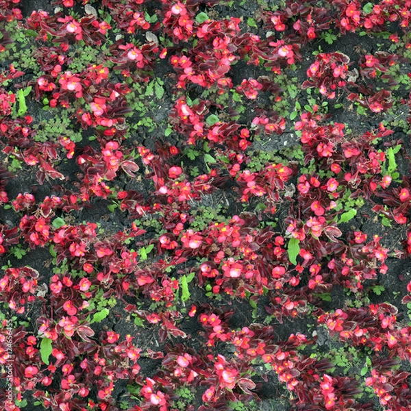 Fototapeta seamless texture of flowerbed