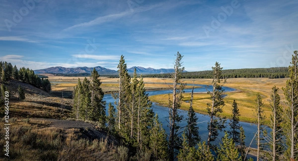 Fototapeta Panoramic view over the Hayden Valley in the Yellowstone National Park, with the Teton mountain range in the background