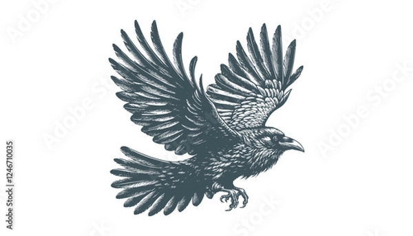 Fototapeta crow vector, raven vector