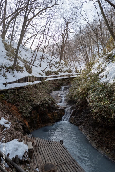 Fototapeta 大湯沼川天然足湯　3月下旬