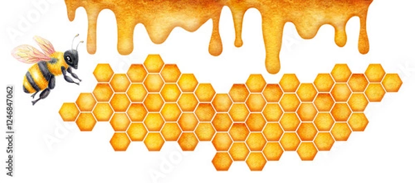 Obraz World Bee Day, May 20. Honeycomb watercolor drawing with bees. Concept save the bees and ecology and ecosystem. Healthy natural nutrition.