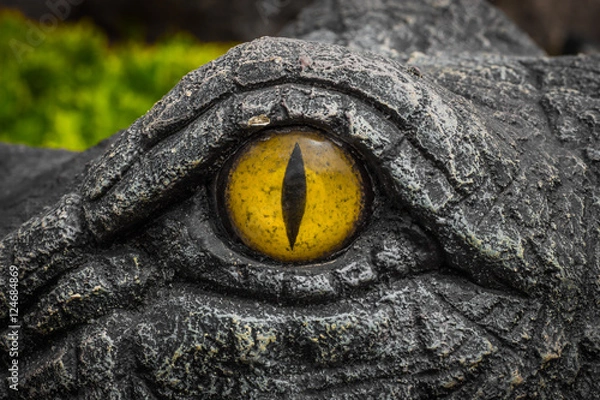 Obraz Yellow eyes of crocodiles.