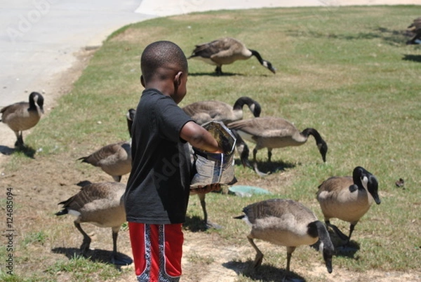 Obraz Ducks and popcorn