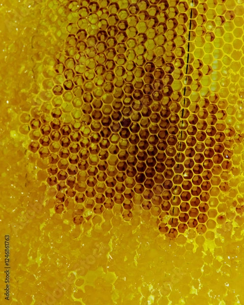 Obraz close up of beer bubbles