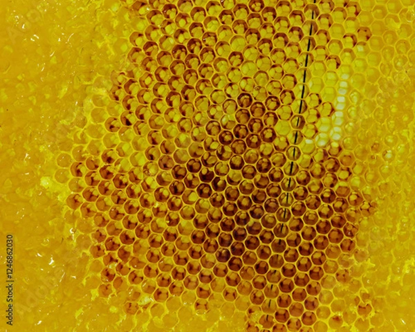 Obraz honey in a glass