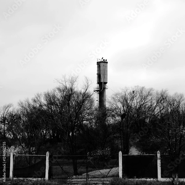 Obraz black and white bench