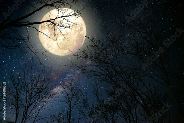 Obraz Piękna gwiazda Drogi Mlecznej na nocnym niebie, księżyc w pełni i stare drzewo - grafika w stylu retro fantasy z odcieniem vintage.