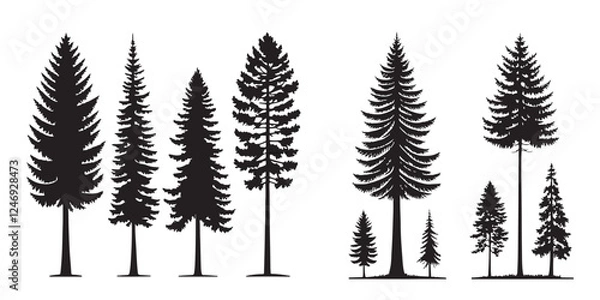 Fototapeta conifer tree silhouettes set