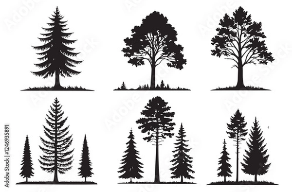 Fototapeta Conifer tree silhouettes 6 set