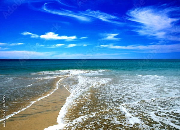 Obraz beach in the summer