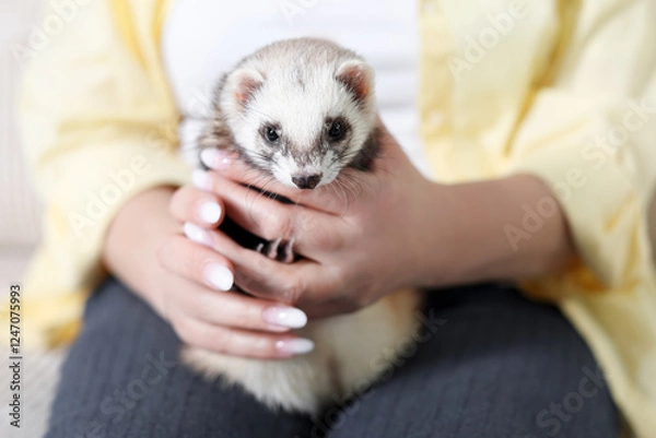 Fototapeta Woman with cute ferret, closeup. Domestic pet