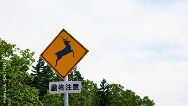 Fototapeta 鹿飛び出し注意の看板　知床にて