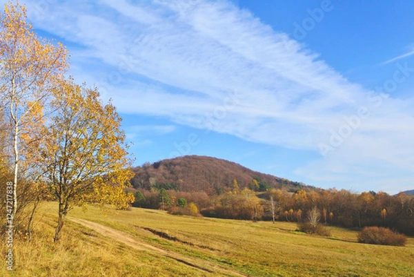 Obraz Autumn mountains landscape. Trees on a  slope  with dry grass and wooded mountains under blue sky with white clouds, Low Beskid (Beskid Niski)