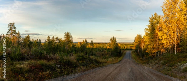 Fototapeta Scenic gravel road through autumn forest with golden trees and panoramic sunset view over vast wilderness