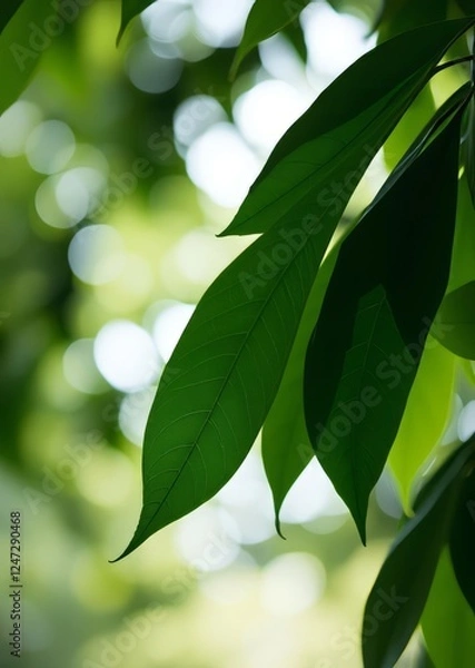 Fototapeta Green leaves with bokeh background bokeh green bokeh green abstract background light bright blur pattern