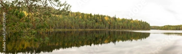 Fototapeta Reflection of Lush Forest, Pine Trees, and Vibrant Autumn Colors on Calm Surface of Finnish Lake