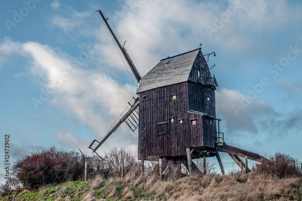 Obraz Windmill