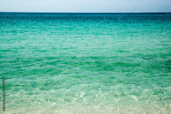 Fototapeta 夏の海