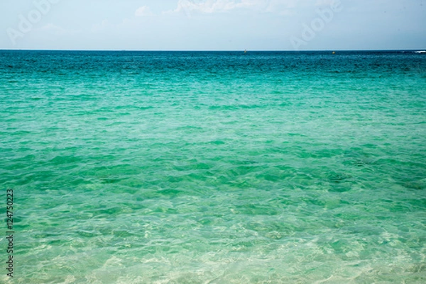 Fototapeta 夏の海