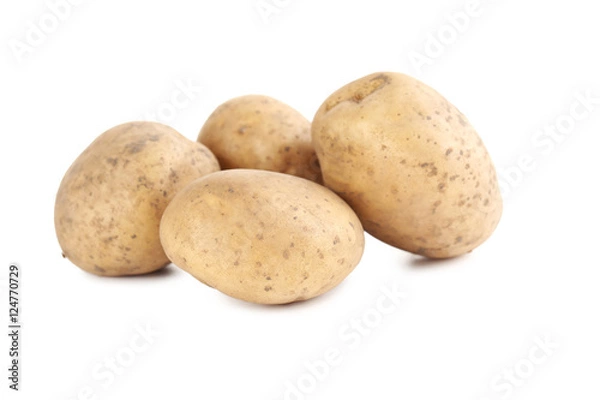 Obraz Potatoes isolated on a white background