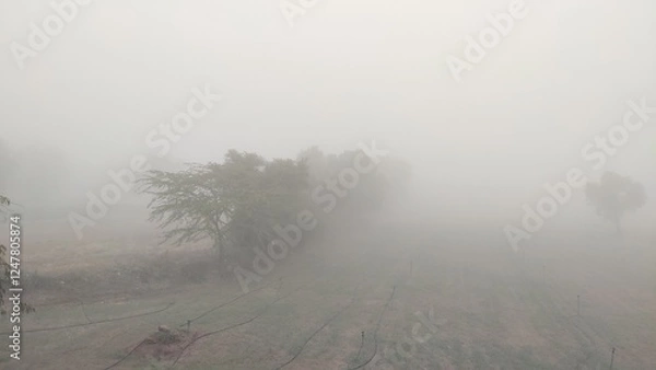 Fototapeta fog in winter morning, fog over the trees, foggy weather cinematic view, hiding trees in fog