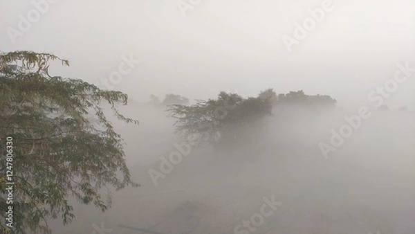 Fototapeta fog in winter morning, fog over the trees, foggy weather cinematic view