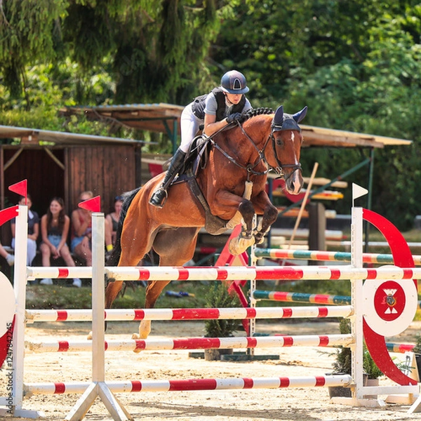 Fototapeta Horses Jumping horse with rider in a jumping competition, in the course.