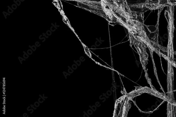 Obraz cobweb or spider web isolated on black background