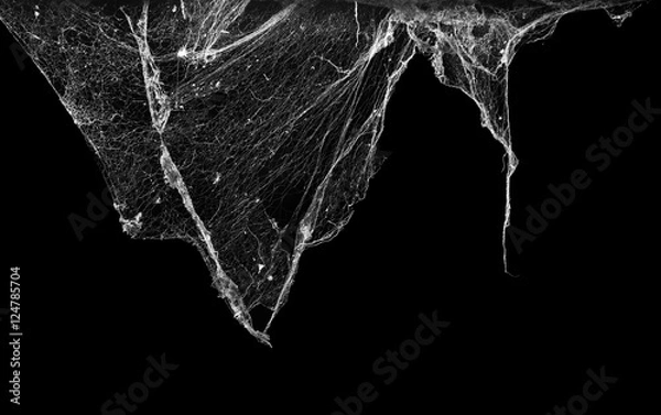Obraz cobweb or spider web isolated on black background