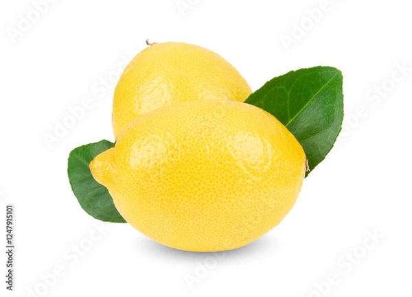Obraz lemon isolated on white background