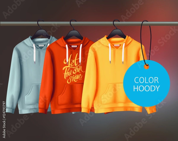 Obraz Color vector unisex hoody design template.