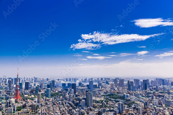 Fototapeta 東京　青空と都市風景