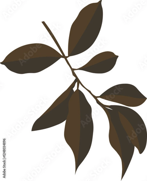 Obraz Botanical Shapes on Isolated White