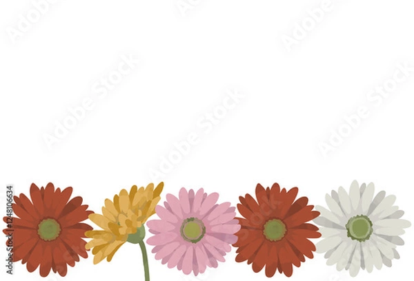 Obraz ガーベラのイラスト素材　一列