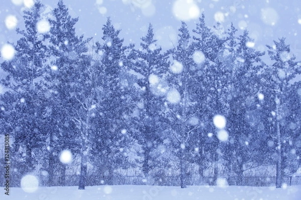 Fototapeta ホワイトクリスマス