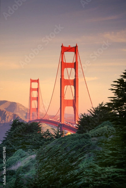 Obraz ggb tree