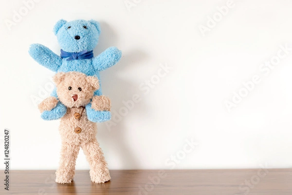 Obraz Two teddy bears