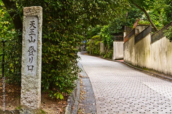 Fototapeta 天王山　登り坂