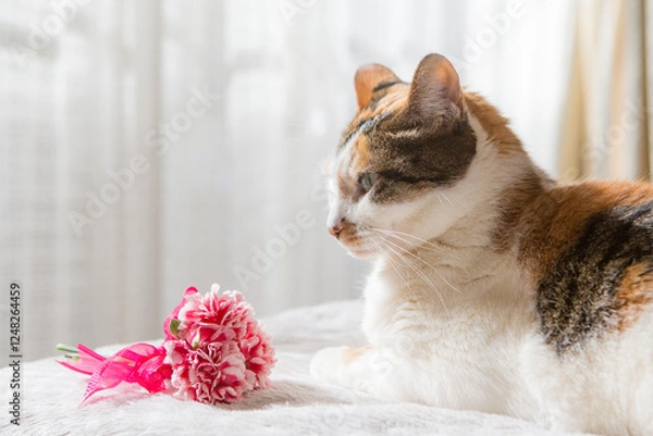 Fototapeta 猫とカーネーション