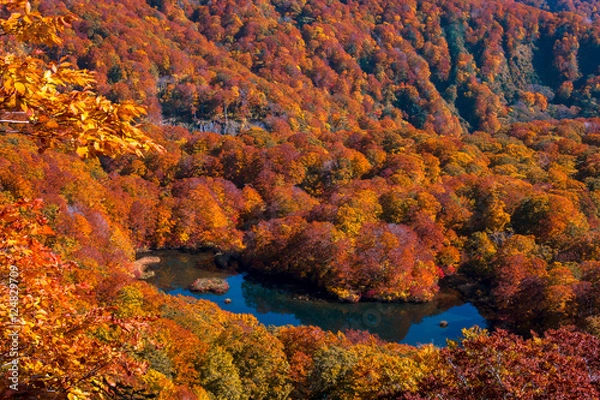Fototapeta 鶴間池　山形県酒田市