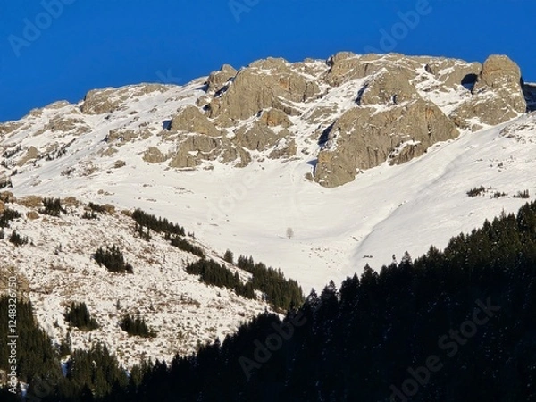 Obraz altındere trabzon