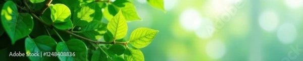 Obraz Bright green leaves overflowing from a sharp building corner , wallpaper, image, nature