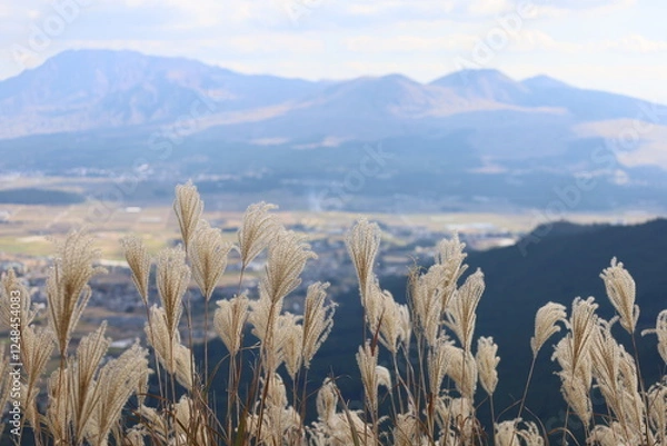 Obraz mountain landscape with Miscanthus
