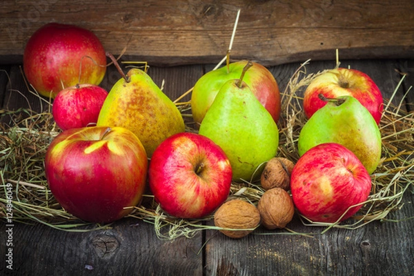 Obraz apples, pears in the hay
