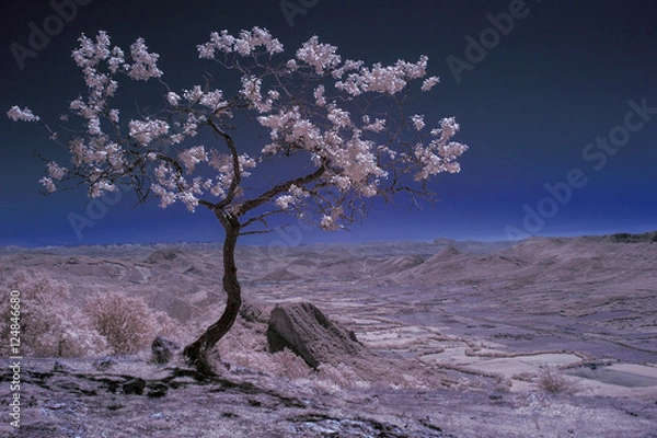 Obraz Infrared Landscape V